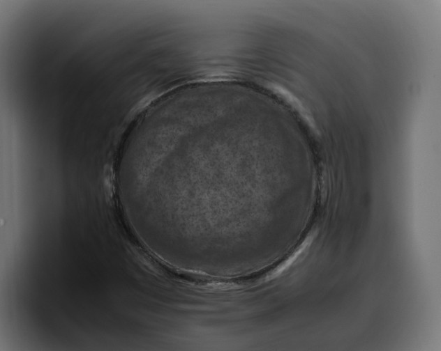 X0000099981449200806131349