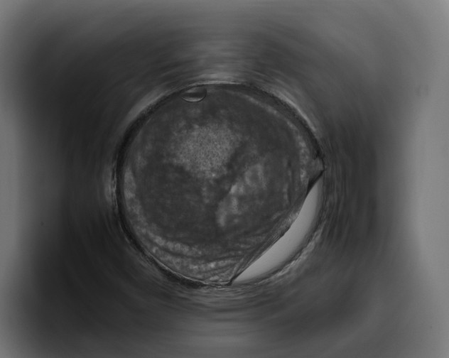 X0000099981450200806131349