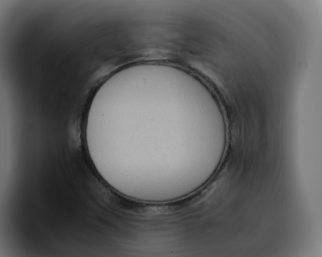 X0000099981451200806131349