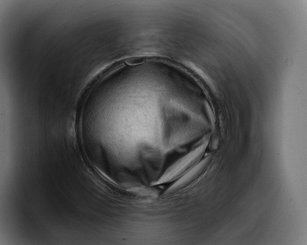 X0000099981452200806131349