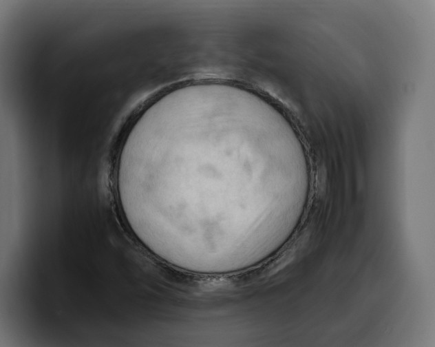 X0000099981454200806131349