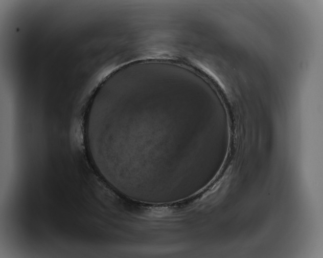 X0000099981455200806131349