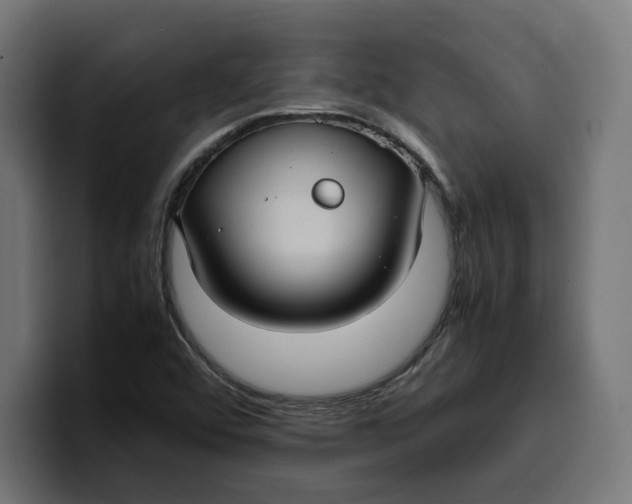 X0000099981456200806131349