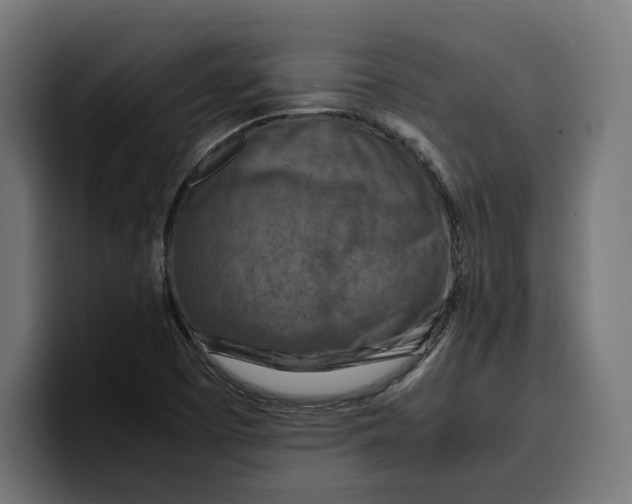 X0000099981457200806131349