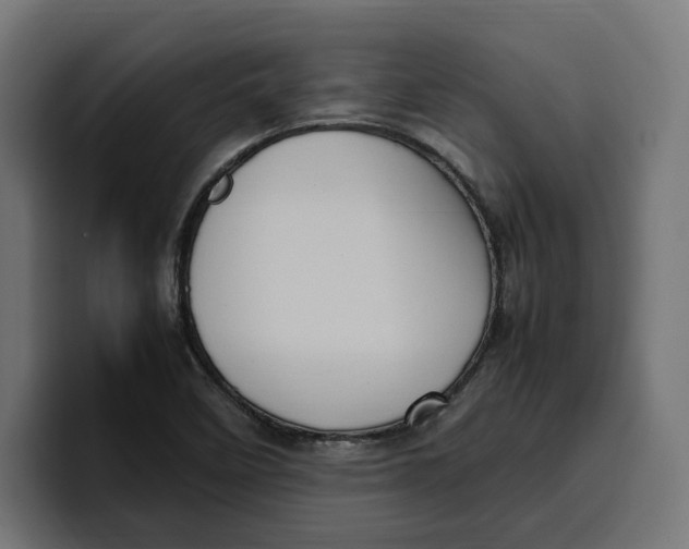 X0000099981458200806131349