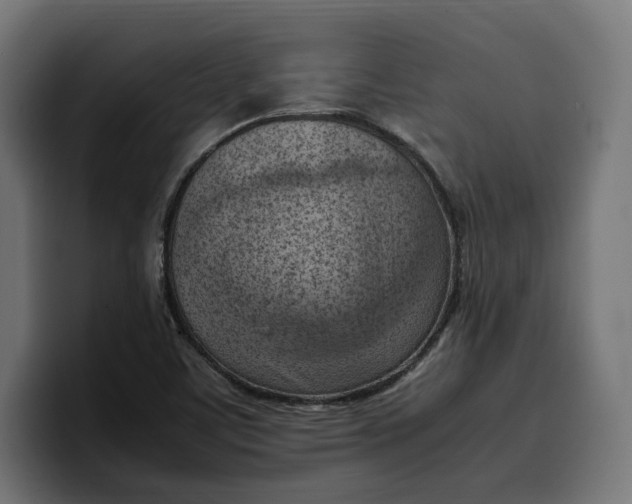 X0000099981459200806131349