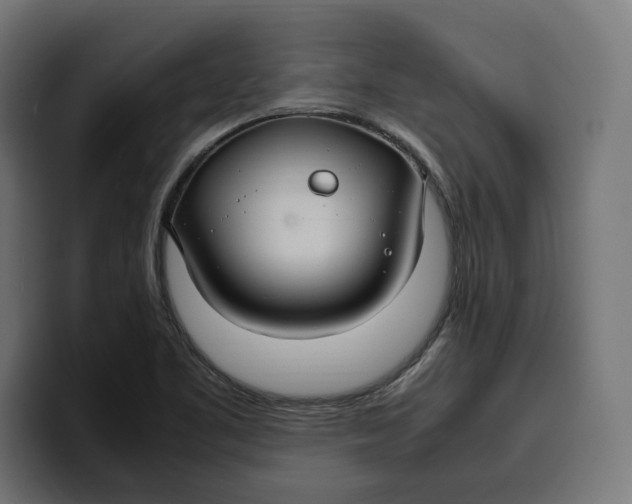 X0000099981461200806131349