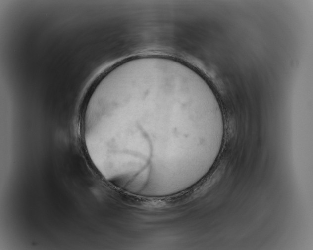 X0000099981462200806131349