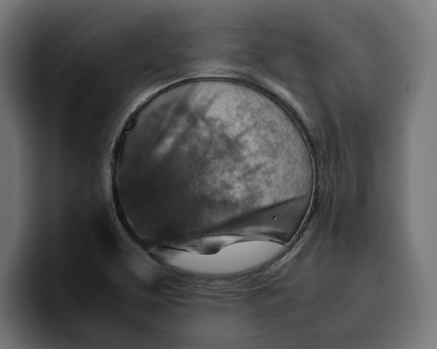 X0000099981463200806131349