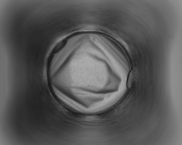 X0000099981464200806131349