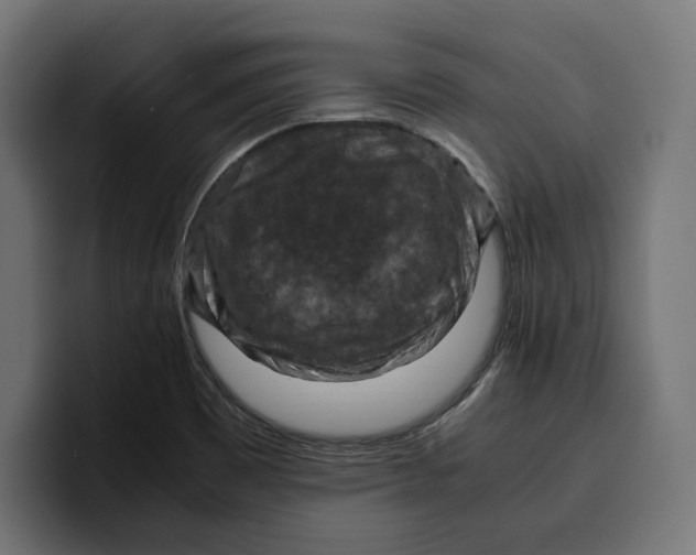 X0000099981465200806131349