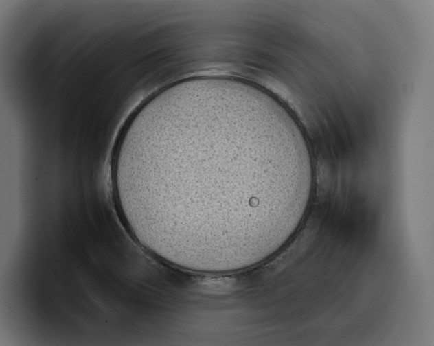 X0000099981466200806131349