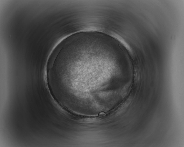 X0000099981468200806131349