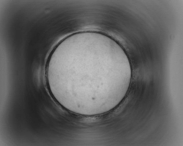 X0000099981470200806131349