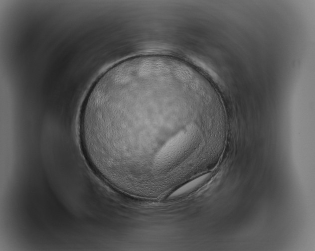 X0000099981471200806131349