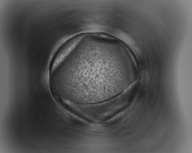 X0000099981472200806131349