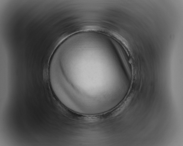 X0000099981473200806131349