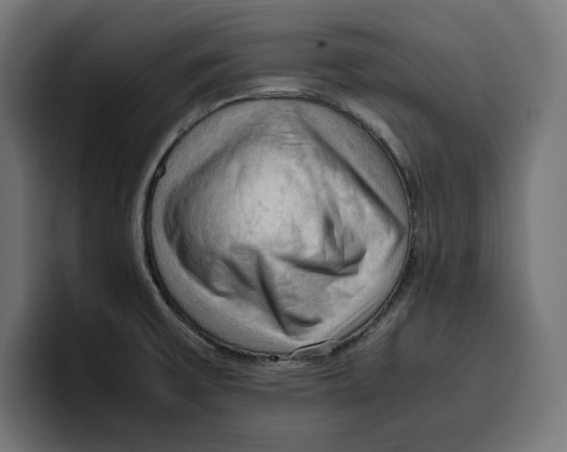 X0000099981475200806131349