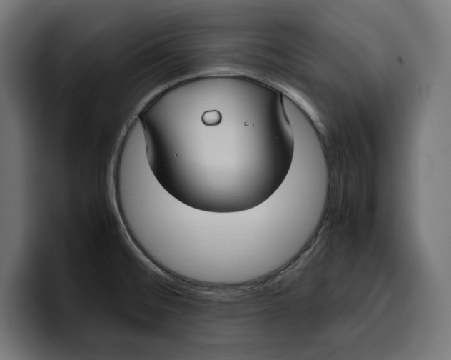 X0000099981476200806131349