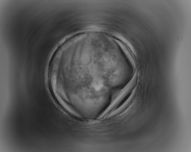 X0000099981477200806131349