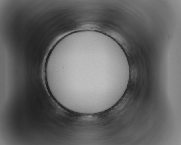 X0000099981478200806131349