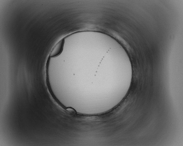 X0000099981479200806131349