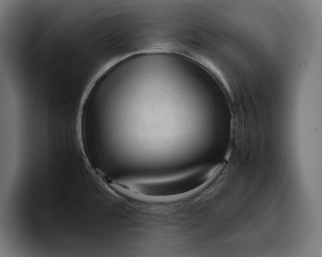 X0000099981480200806131349