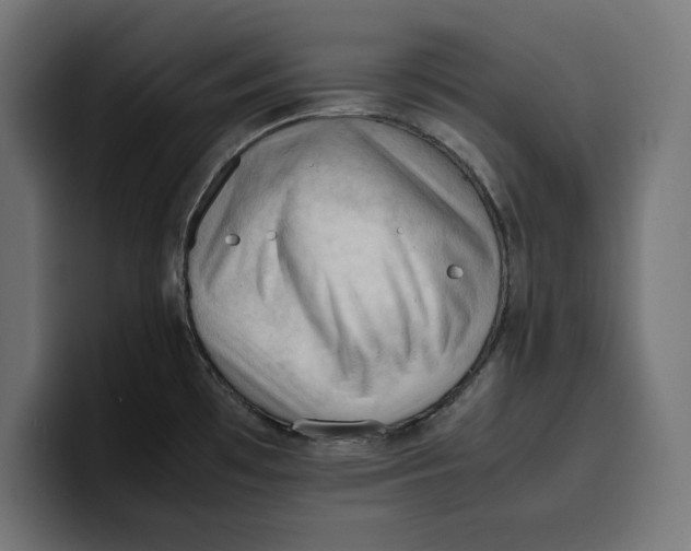 X0000099981481200806131349