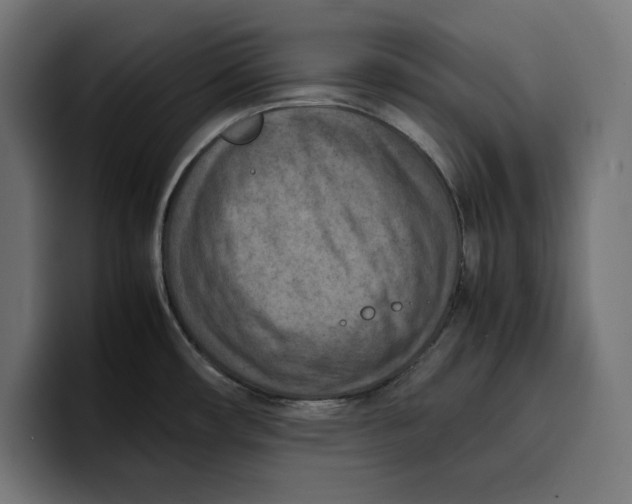 X0000099981482200806131349