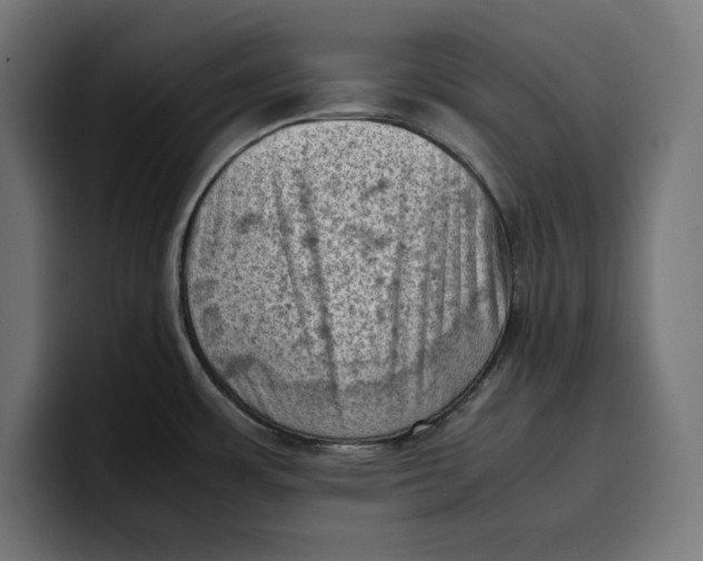 X0000099981483200806131349