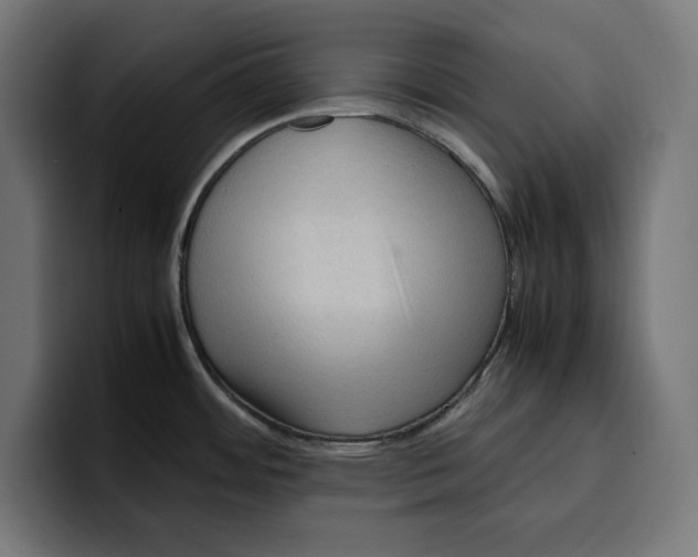 X0000099981484200806131349