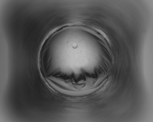 X0000099981485200806131349