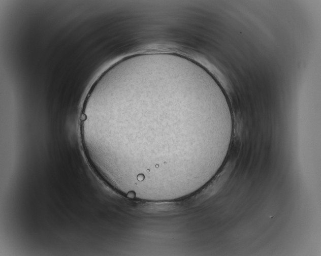 X0000099981486200806131349