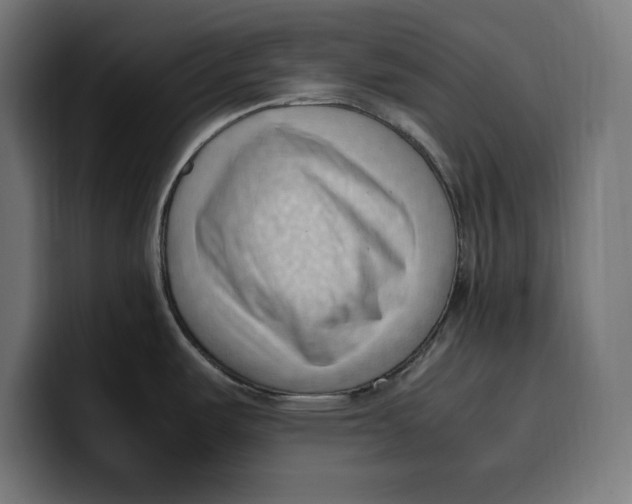 X0000099981487200806131349