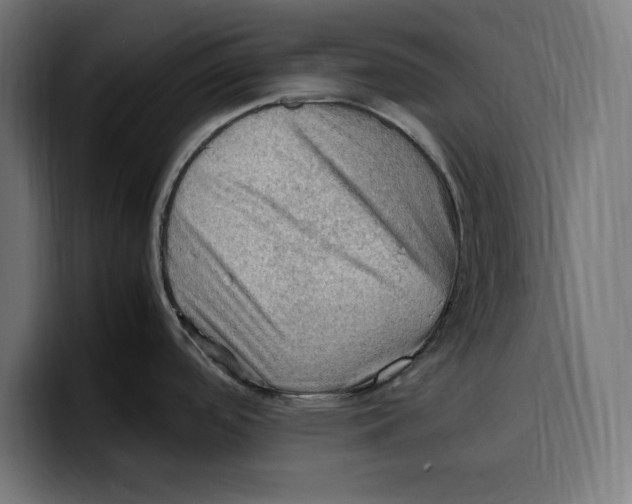 X0000099981488200806131349