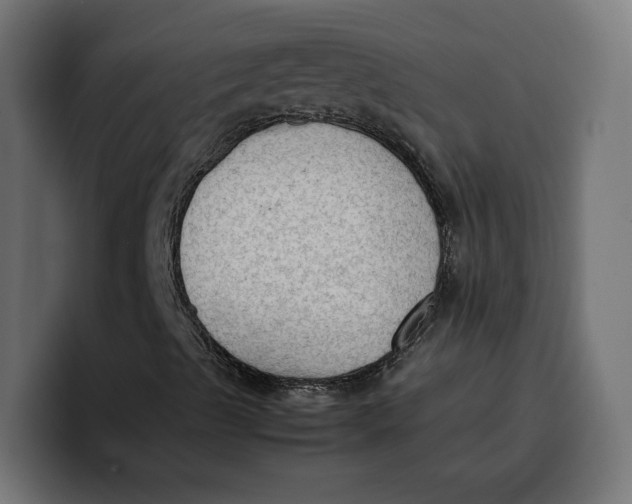 X0000099981489200806131348