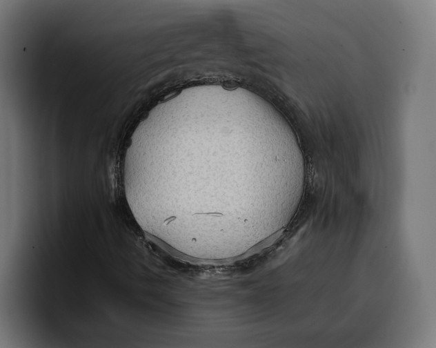 X0000099981490200806131348