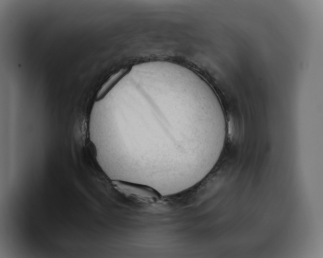 X0000099981492200806131348