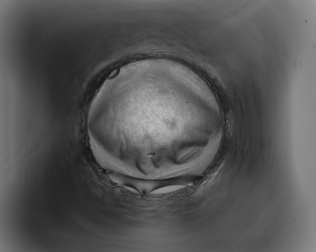 X0000099981494200806131348