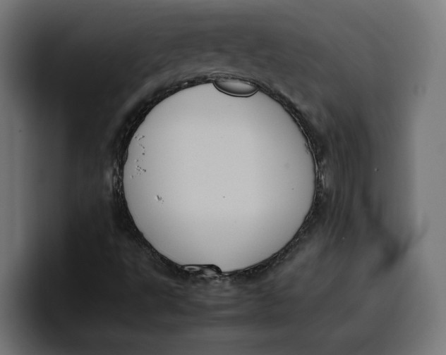 X0000099981495200806131348