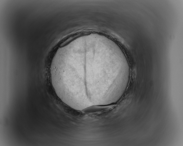 X0000099981496200806131348