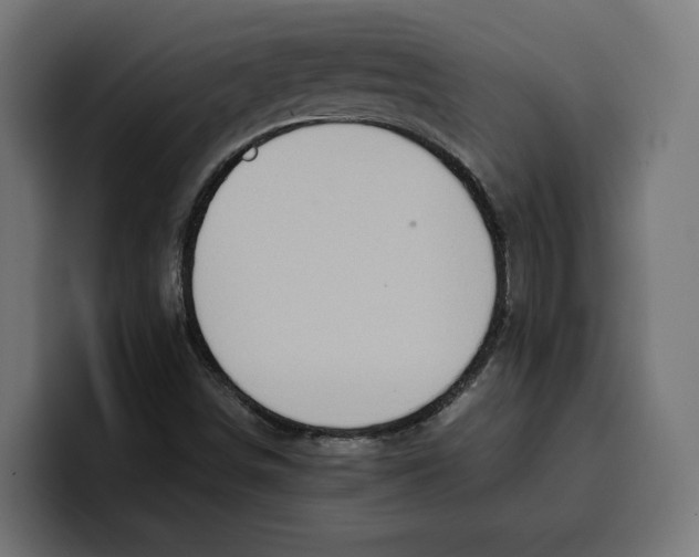 X0000099981498200806131348