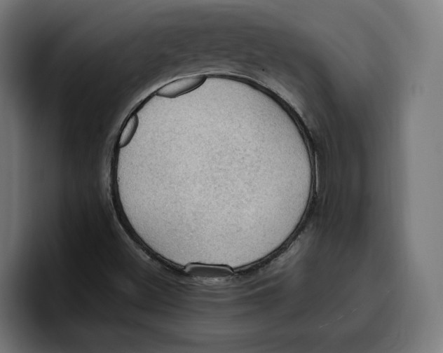 X0000099981500200806131348