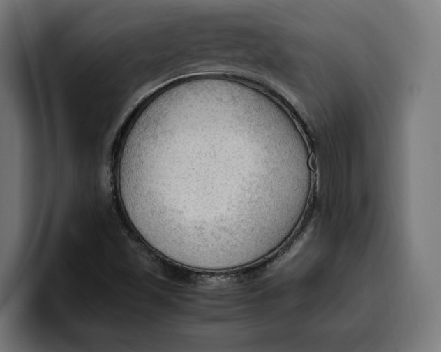 X0000099981501200806131348