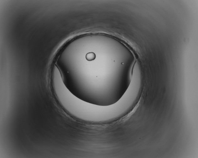 X0000099981502200806131348