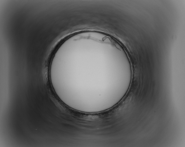 X0000099981503200806131348