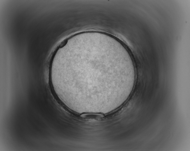 X0000099981504200806131348