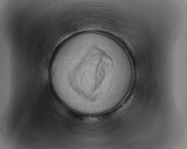 X0000099981505200806131348