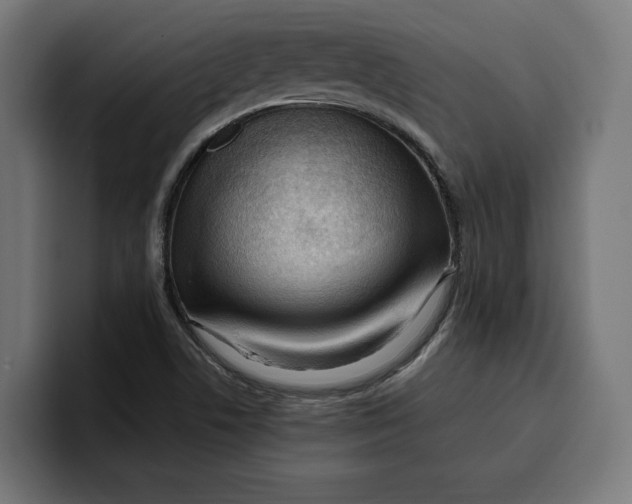 X0000099981506200806131349