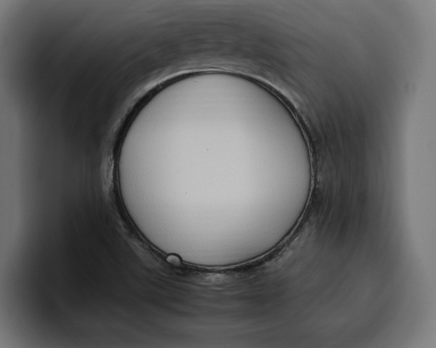 X0000099981507200806131349